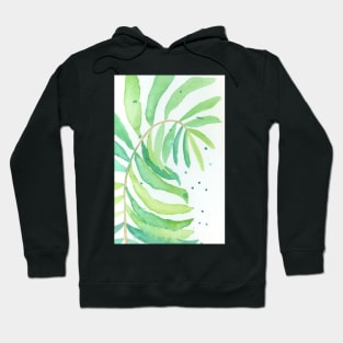 Fern Hoodie